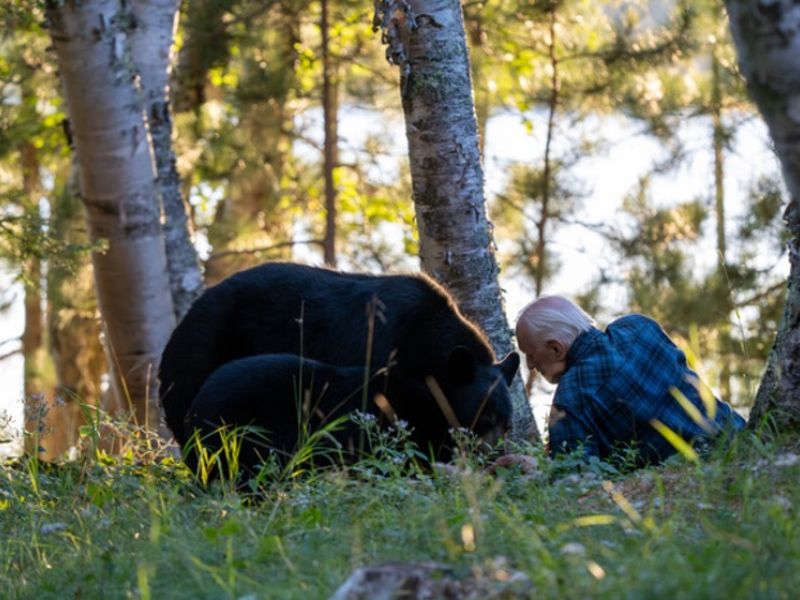 Lily, Film, Ted, and Progress - UPDATE October 20, 2024