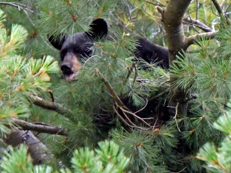 Okay, Just Busy With Paperwork - UPDATE December 20, 2021