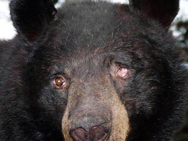 Independence Day and Jack - UPDATE July 4, 2021