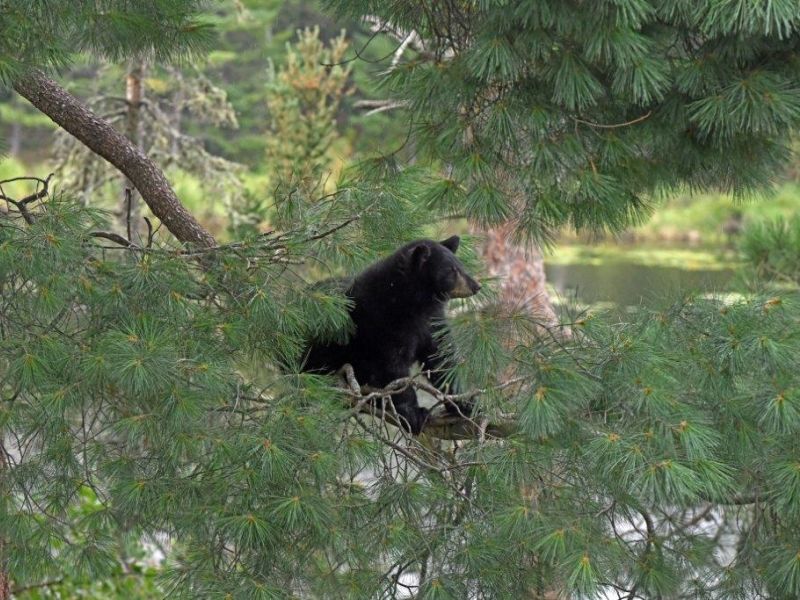 Another Good Day - UPDATE September 5, 2021