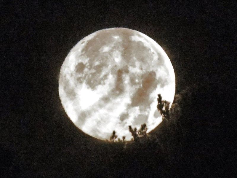 Bright Moon, Wild Faces, and Busy Beavers - UPDATE November 16, 2024