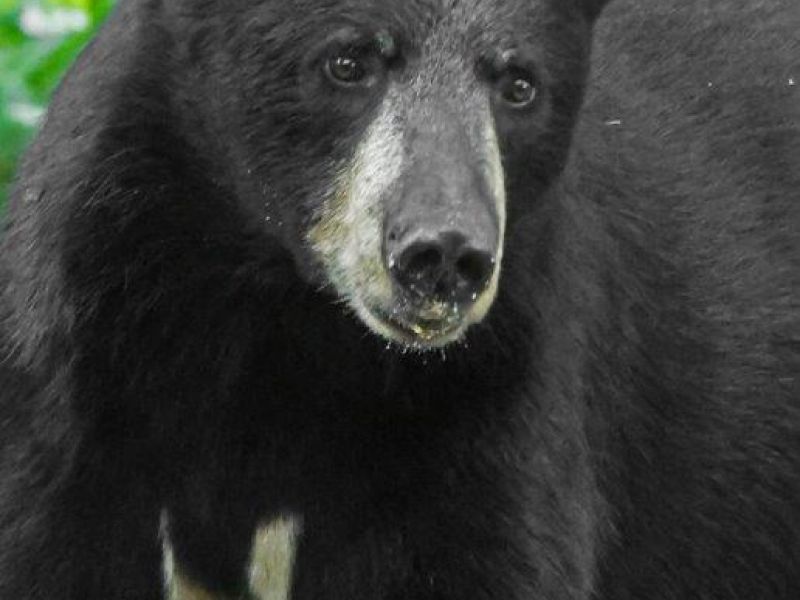 Becky’s Family Minus One - UPDATE August 9, 2024