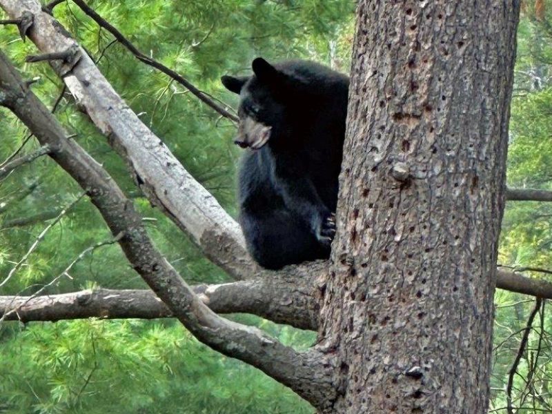 Only Good News - UPDATE September 2, 2023