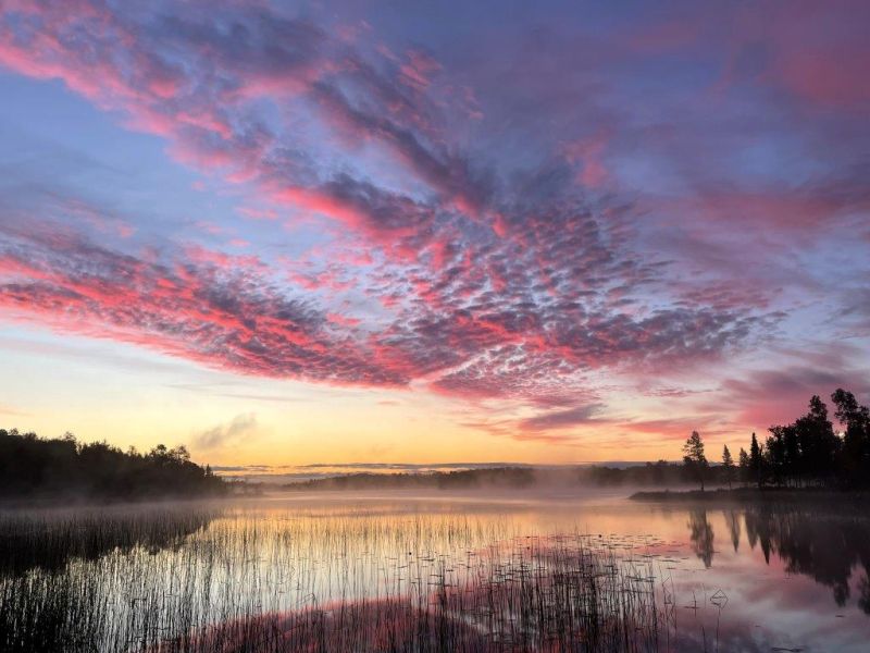 Sunrise, Sunset Hoping for No Shots - UPDATE September 6, 2024