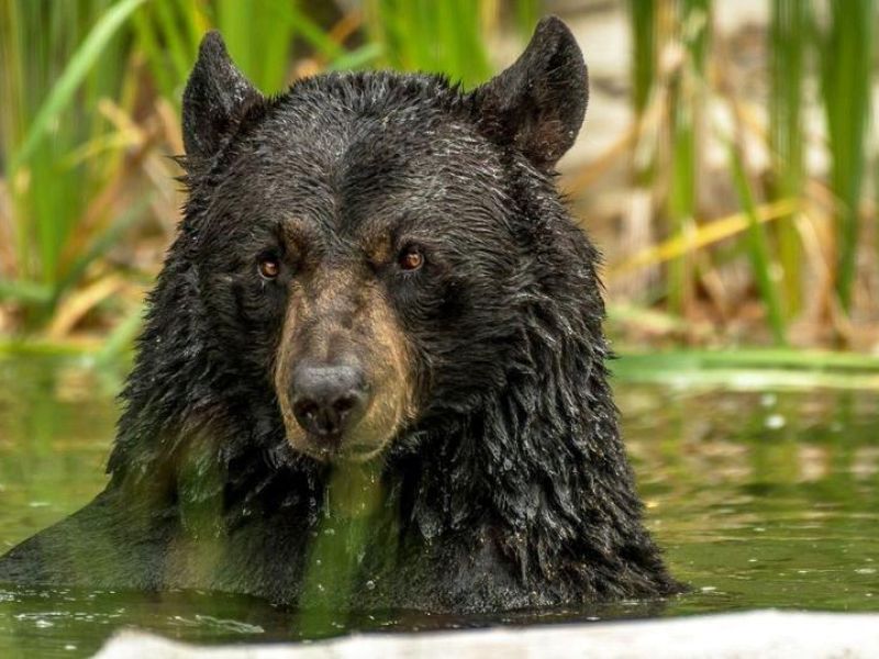 A Work Day and a Date Night - UPDATE July 15, 2023