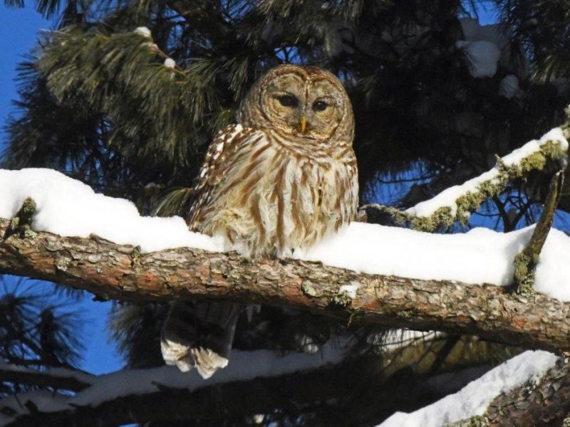 Happy New Year - UPDATE January 1, 2022