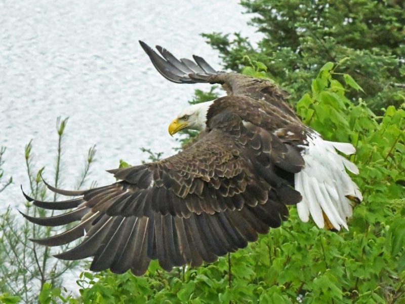 A Quiet Day - UPDATE June 5, 2024