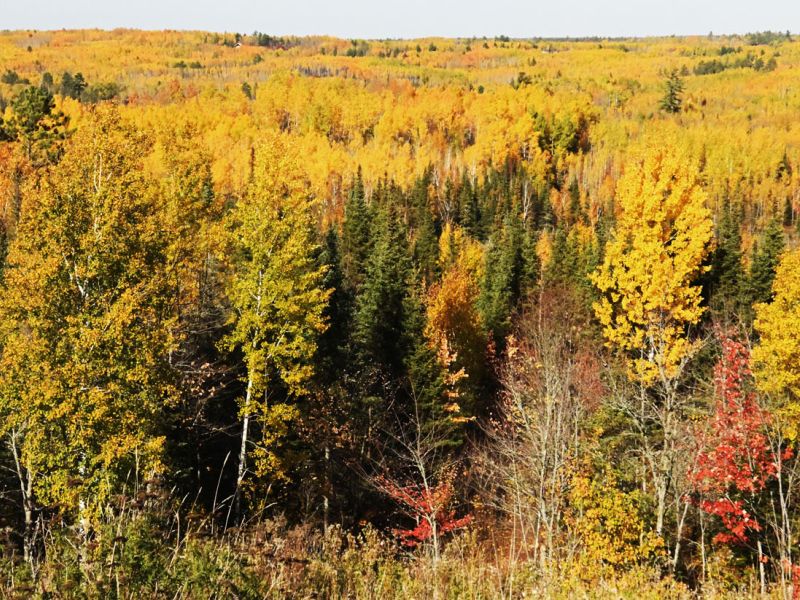 A Wonderful Time of Year - UPDATE October 12, 2026