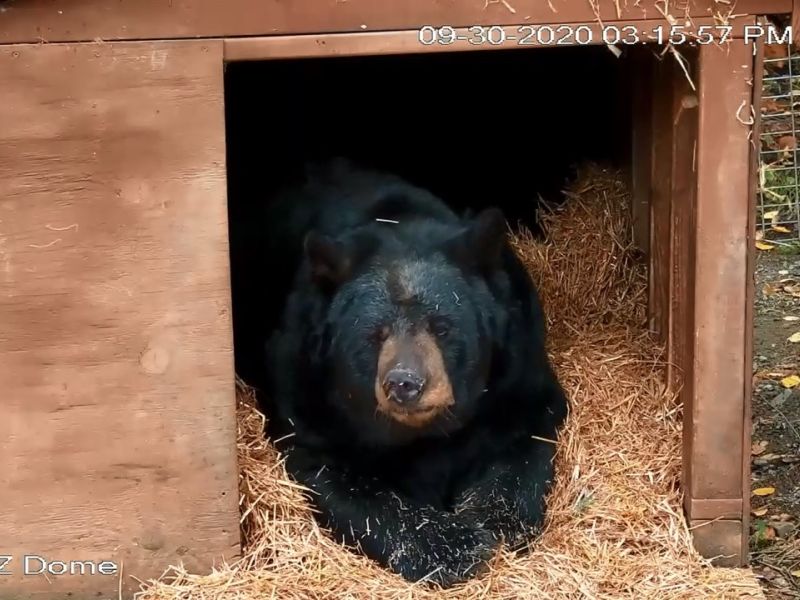 Ted - UPDATE September 30, 2020