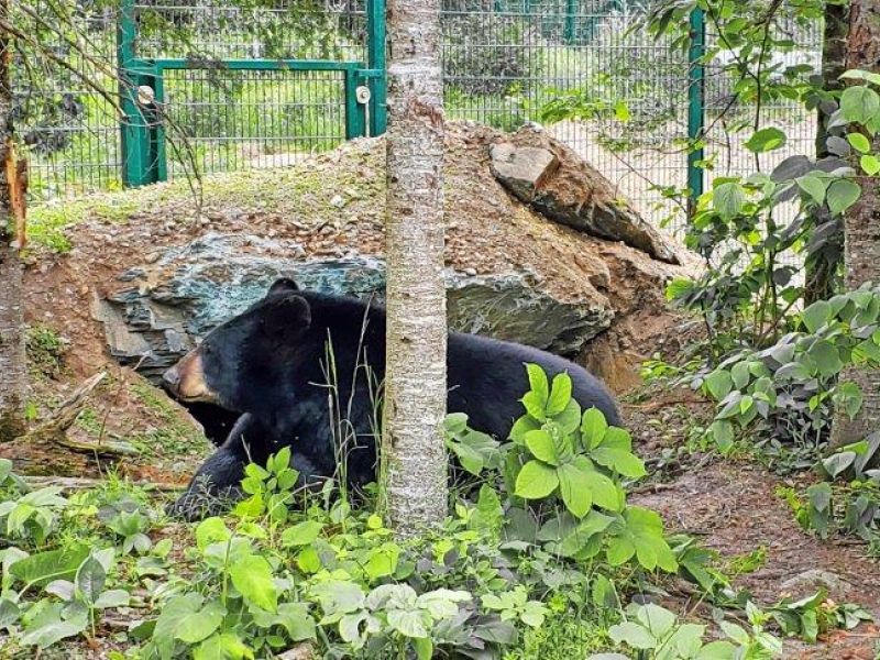 Tasha - UPDATE June 20, 2023