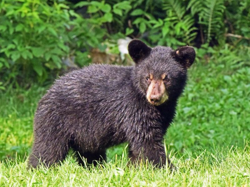 Reunion Grows and an Error - UPDATE August 13, 2025