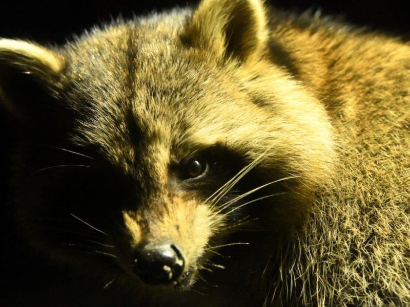 The Daily Progression - UPDATE March 15, 2024