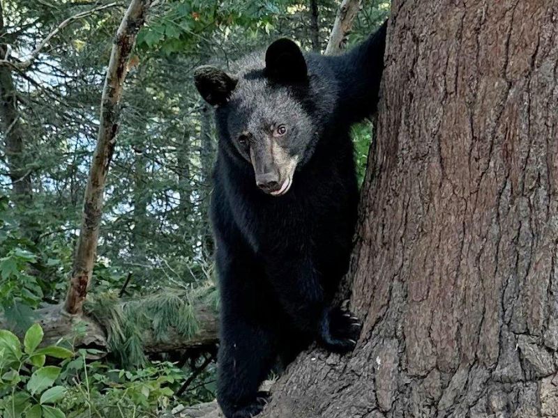 All is Well - UPDATE September 4, 2023