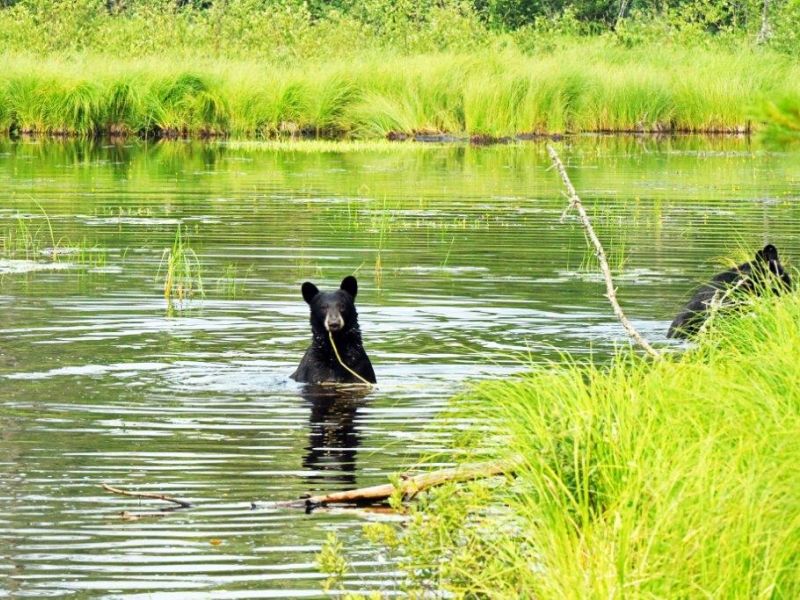 Water Play - UPDATE July 17, 2021