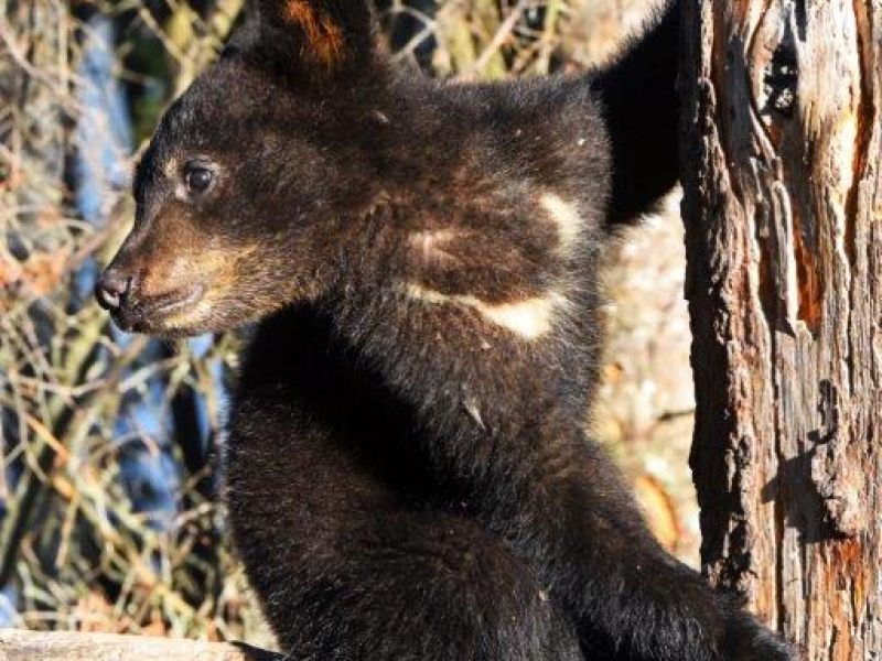 Donna, Chloe, Names, Maureen - UPDATE June 9, 2021