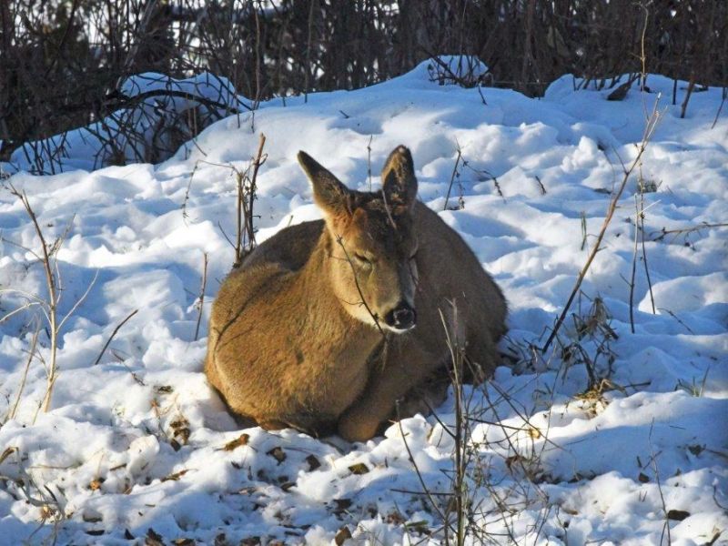 Thankful for so much - UPDATE November 23, 2022