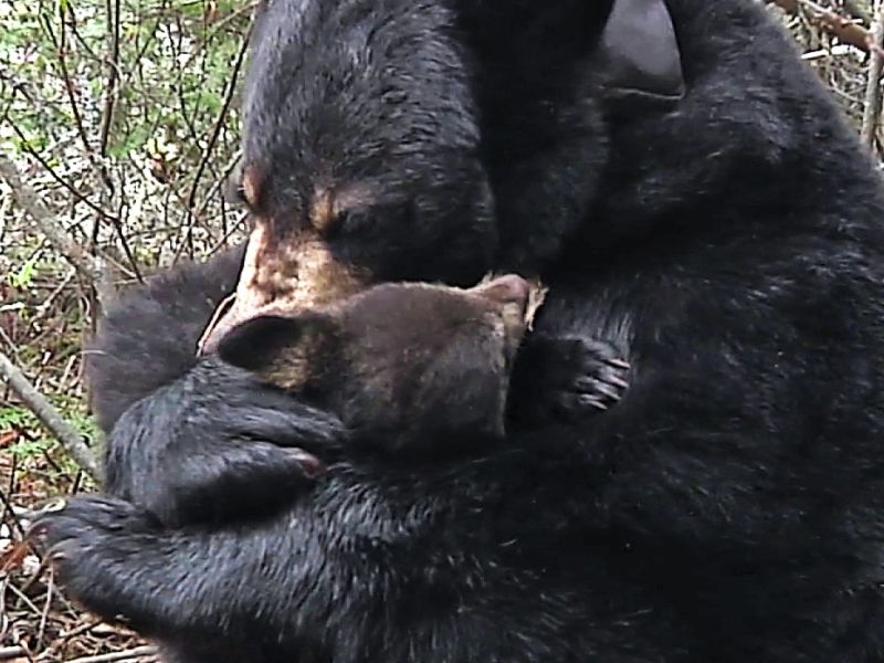 Worried but Hopeful - UPDATE September 1, 2025