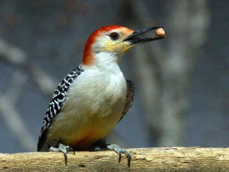 Green-Up, Big Changes - UPDATE May 14, 2023