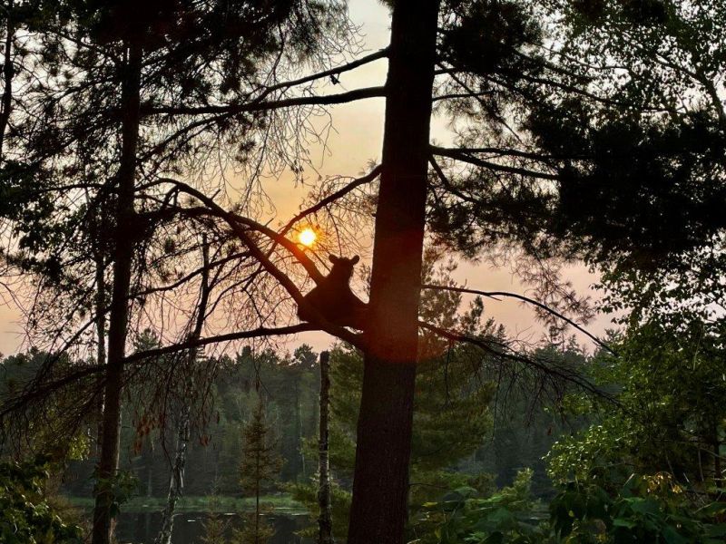 Photos of the Days - UPDATE July 16, 2021