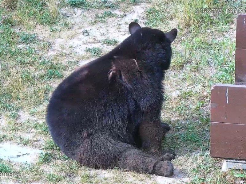 What is Tasha Up To? - UPDATE July 16, 2022