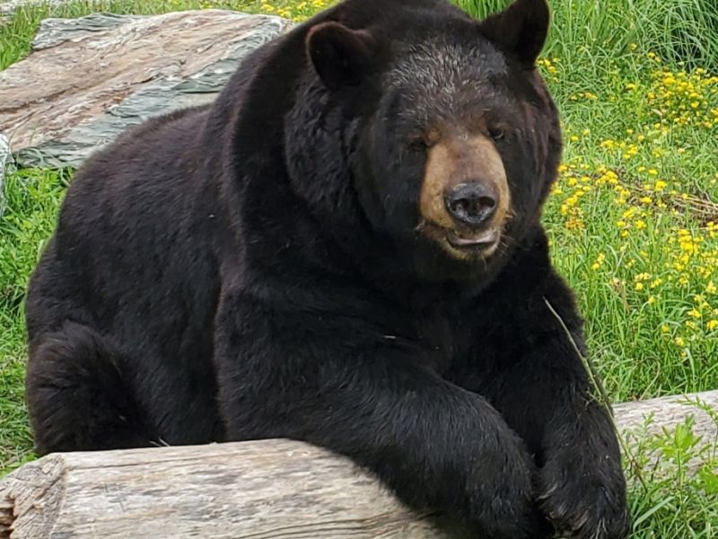 Ted and Stories about Him - UPDATE November 20, 2021