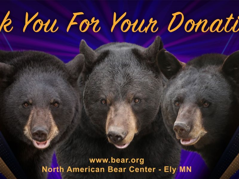 Thank you! Thank you! Thank you! - UPDATE November 22, 2024