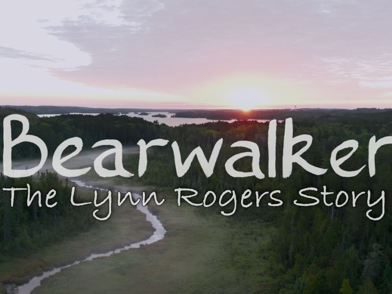 Another Thank You and Another Bear - UPDATE April 24, 2025