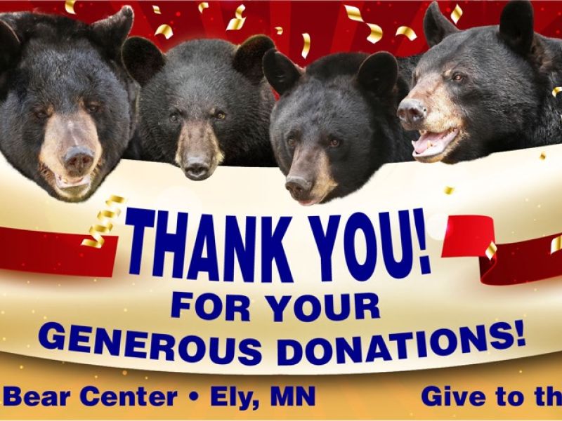 Thank you! Thank you! Thank you! - UPDATE November 19, 2021