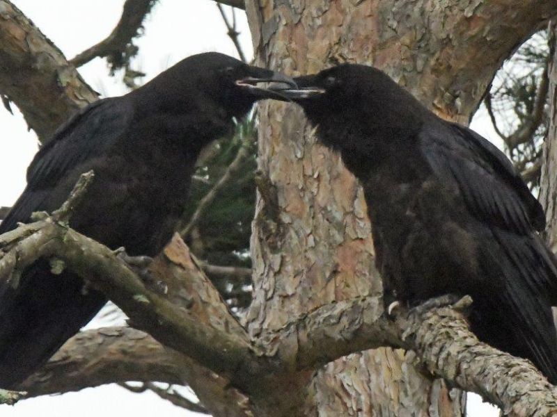 Love is in the Air - UPDATE June 7, 2023