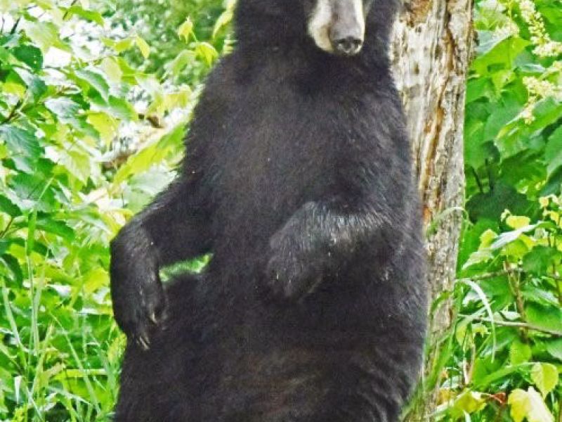 Computer Back Working, Catching Up - UPDATE July 12, 2025