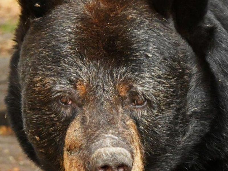 2024 Winding Down - UPDATE September 14, 2024