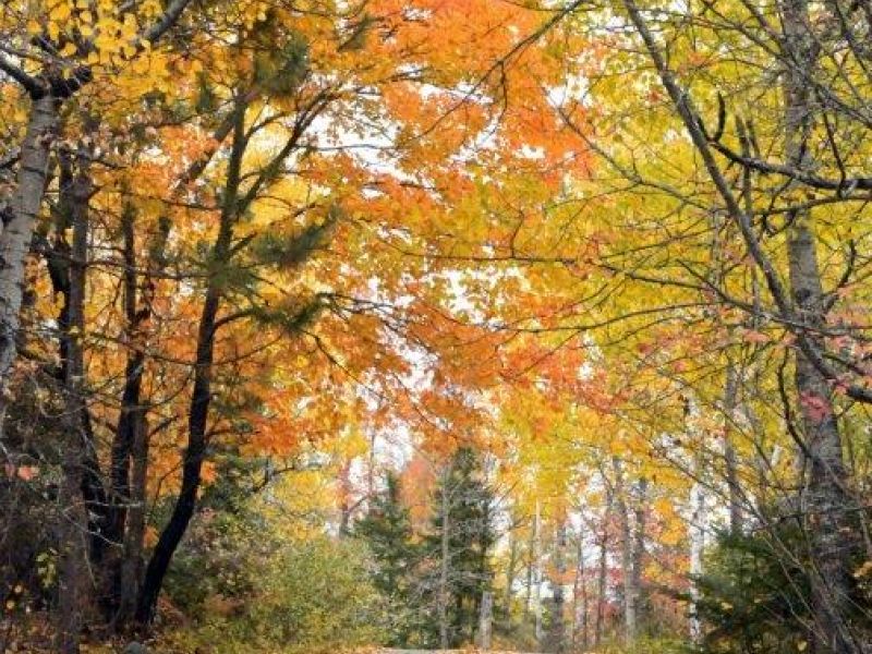 Feeling Blessed - UPDATE October 3, 2020