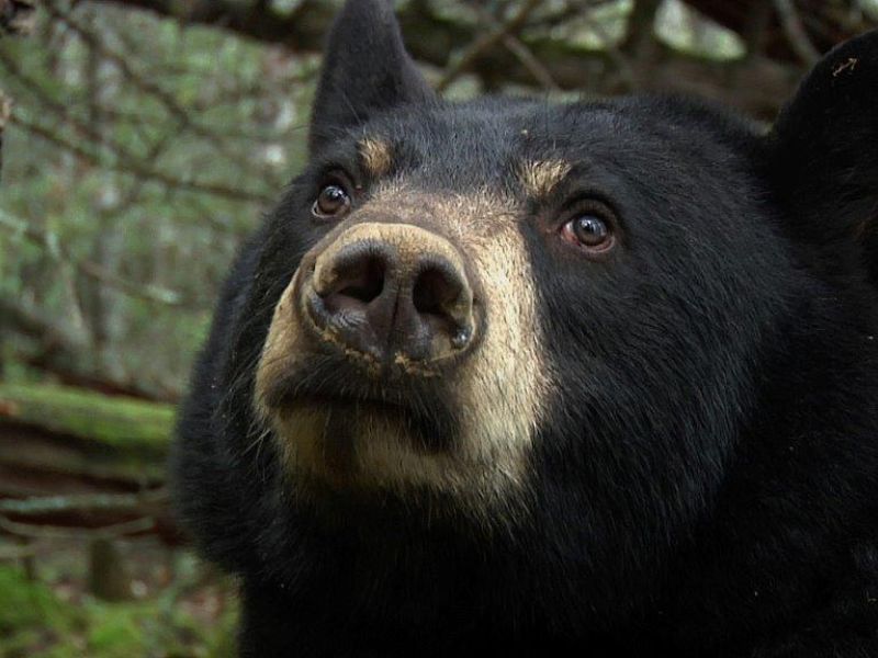 Lily’s 16th Birthday - UPDATE January 19, 2023