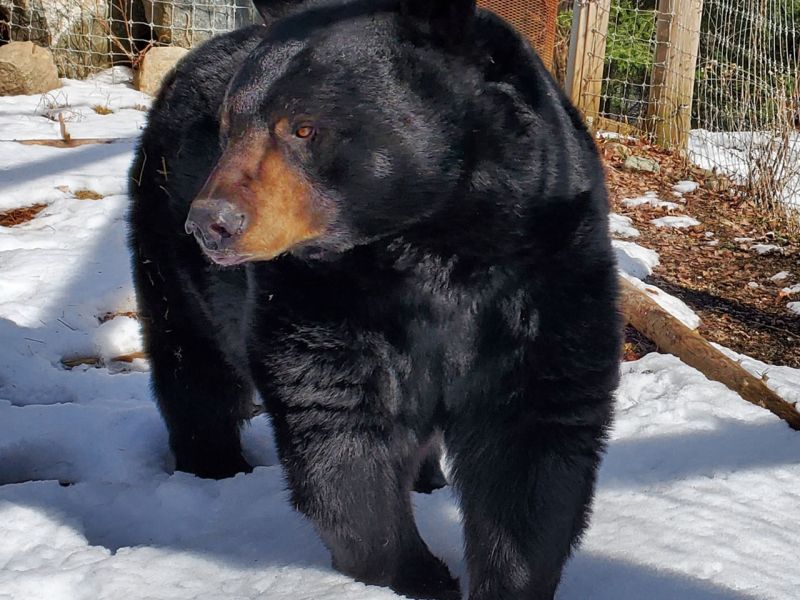 Lucky and Tasha Looking Great - UPDATE May 2, 2023