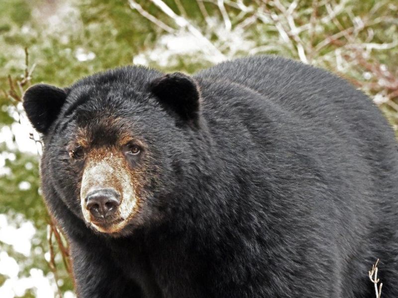 The Moment has Come - UPDATE April 27, 2023