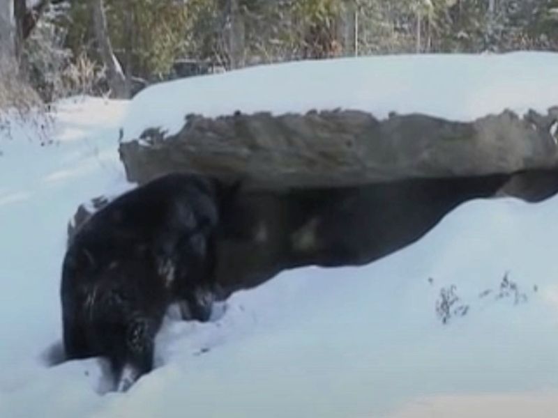 A Correction - UPDATE December 13, 2021