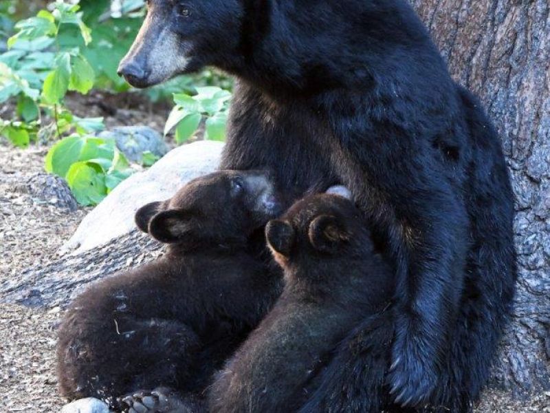 No Shots and Good Memories - UPDATE September 9, 2022