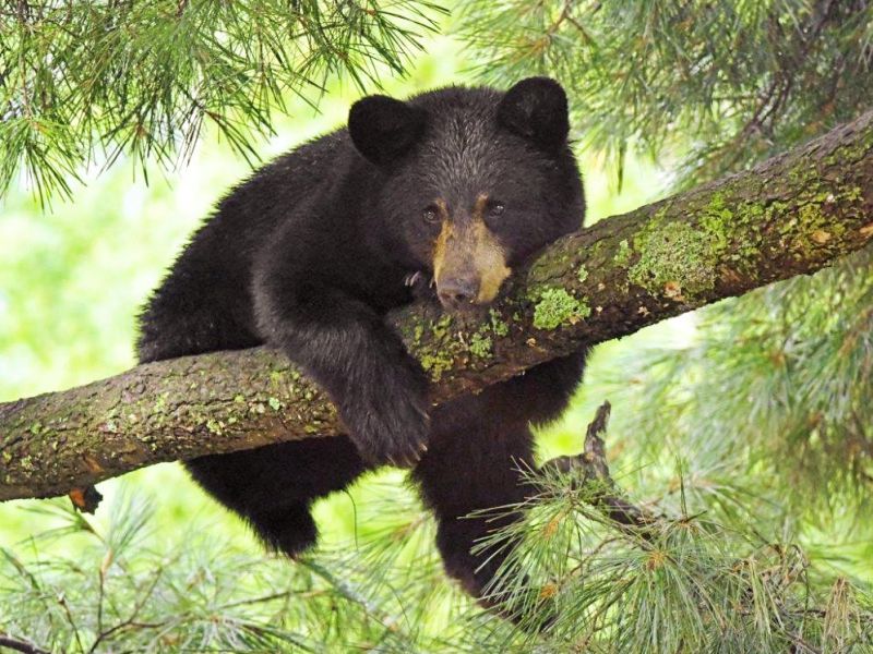 Holding Our Breath - UPDATE August 31, 2022