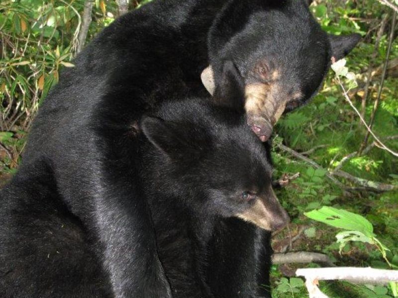 Time with Lily!! - UPDATE August 11, 2023