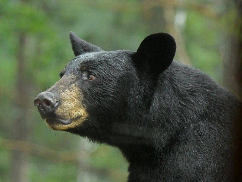 Two Good Memories - UPDATE August 19, 2022