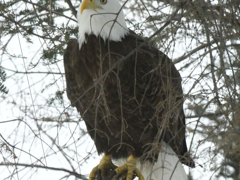 Back in the Saddle Again! - UPDATE March 19, 2026