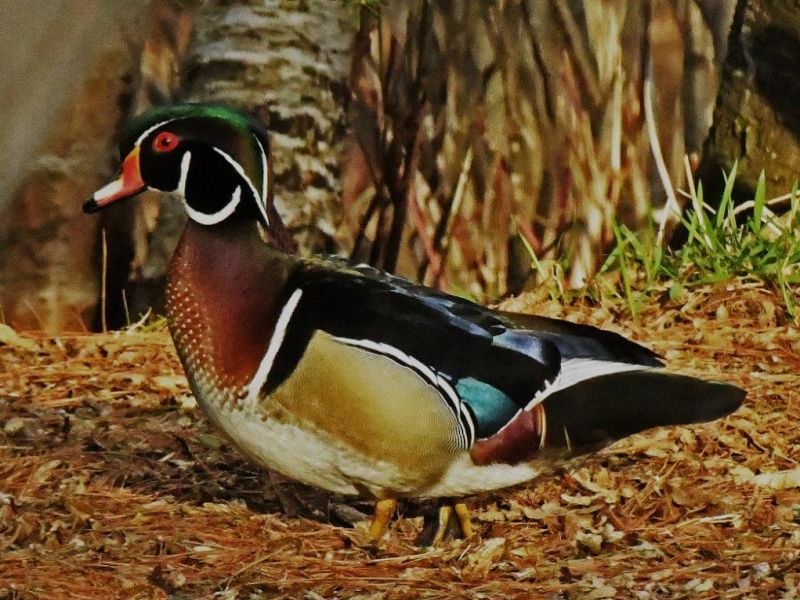 Adam and More - UPDATE May 11, 2023