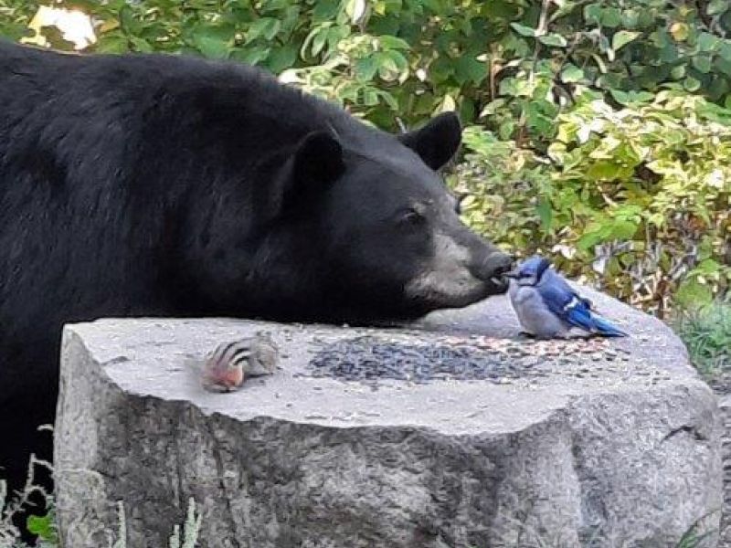 An Unusual Interaction - UPDATE September 27, 2023