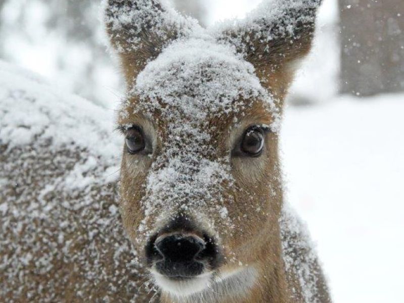 Good Memories - UPDATE February 1, 2025