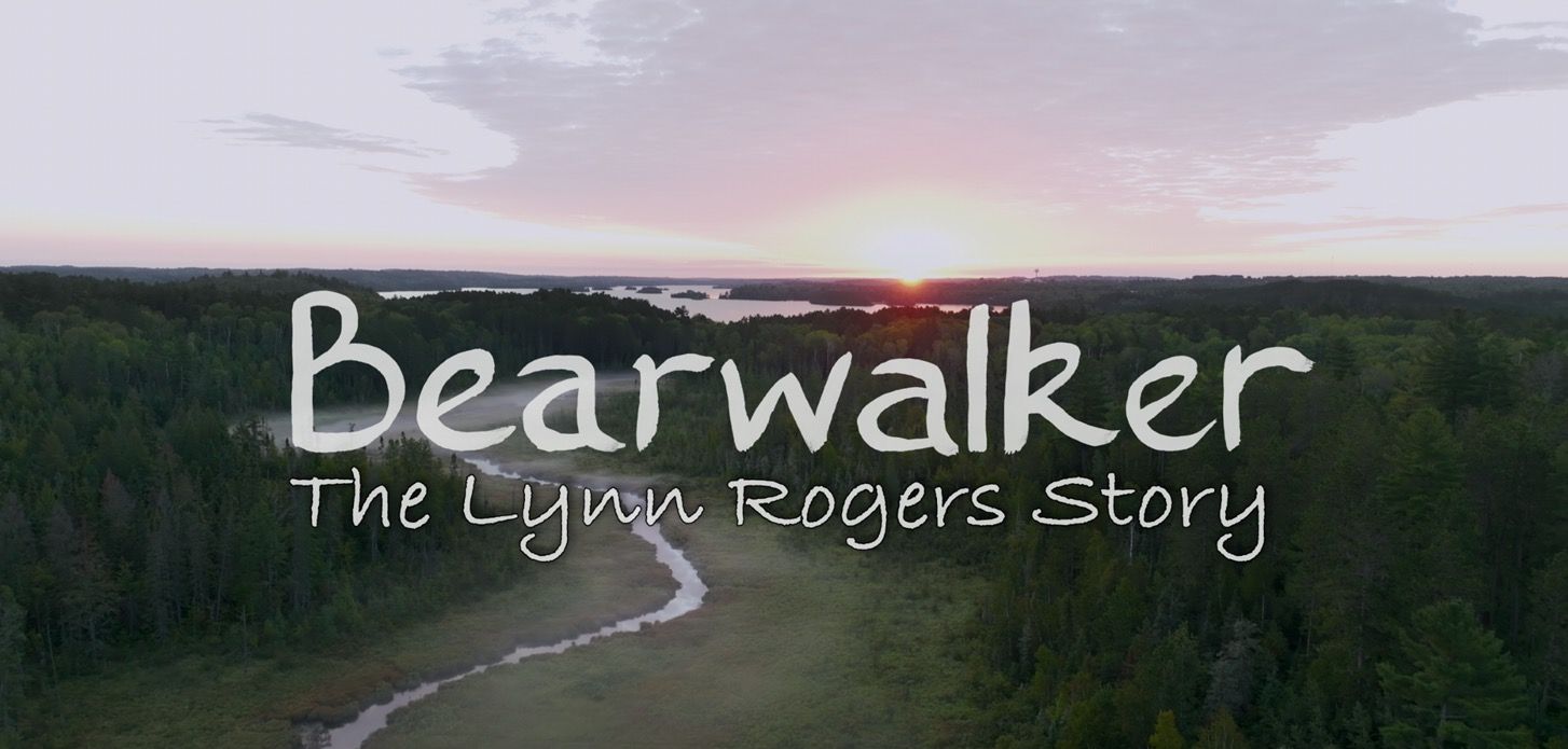 Another Thank You and Another Bear - UPDATE April 24, 2025